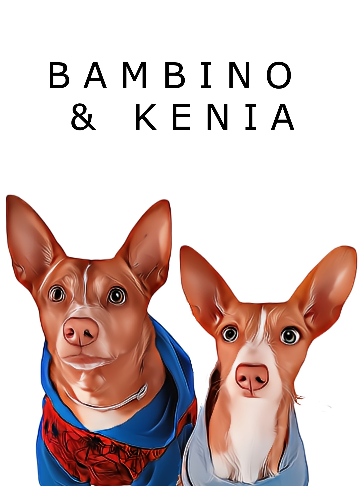 Ilustración de mascota doble