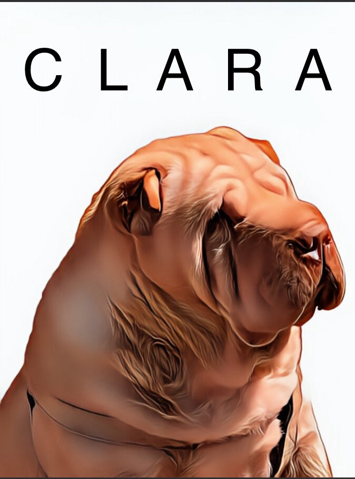 Ilustración de mascota