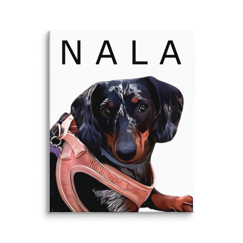 Ilustración de mascota en lienzo