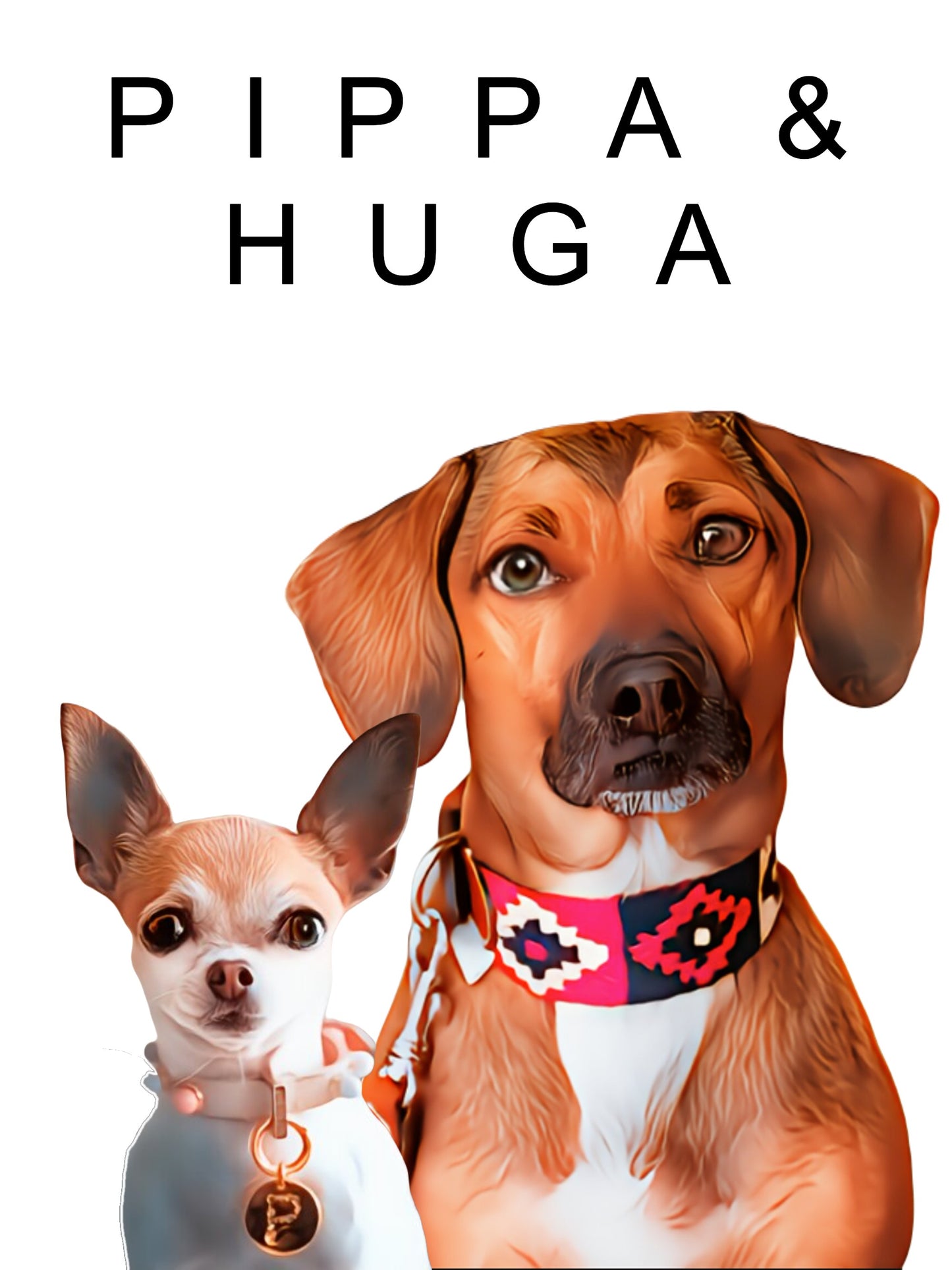 Ilustración de mascota doble