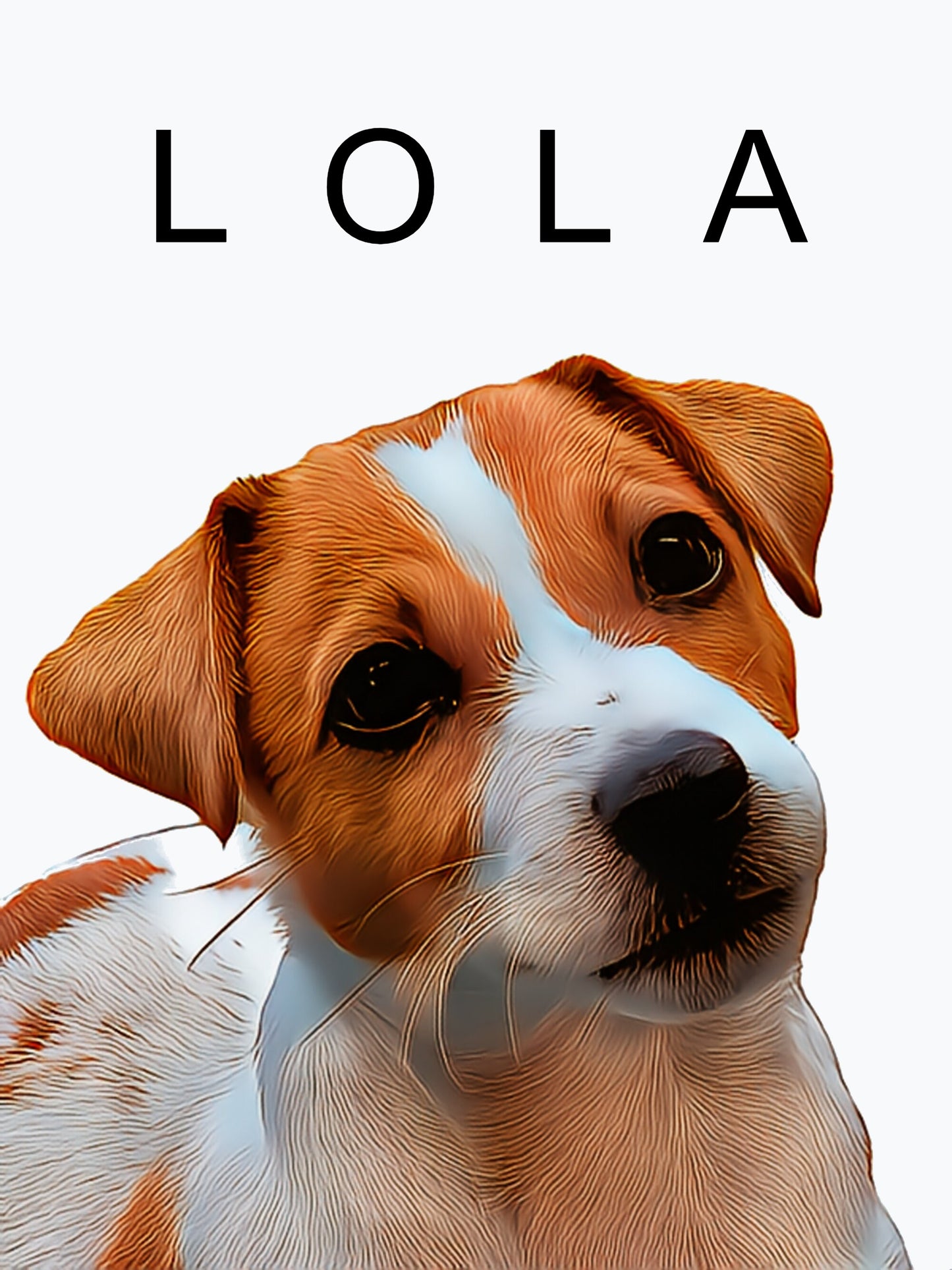 Ilustración de mascota